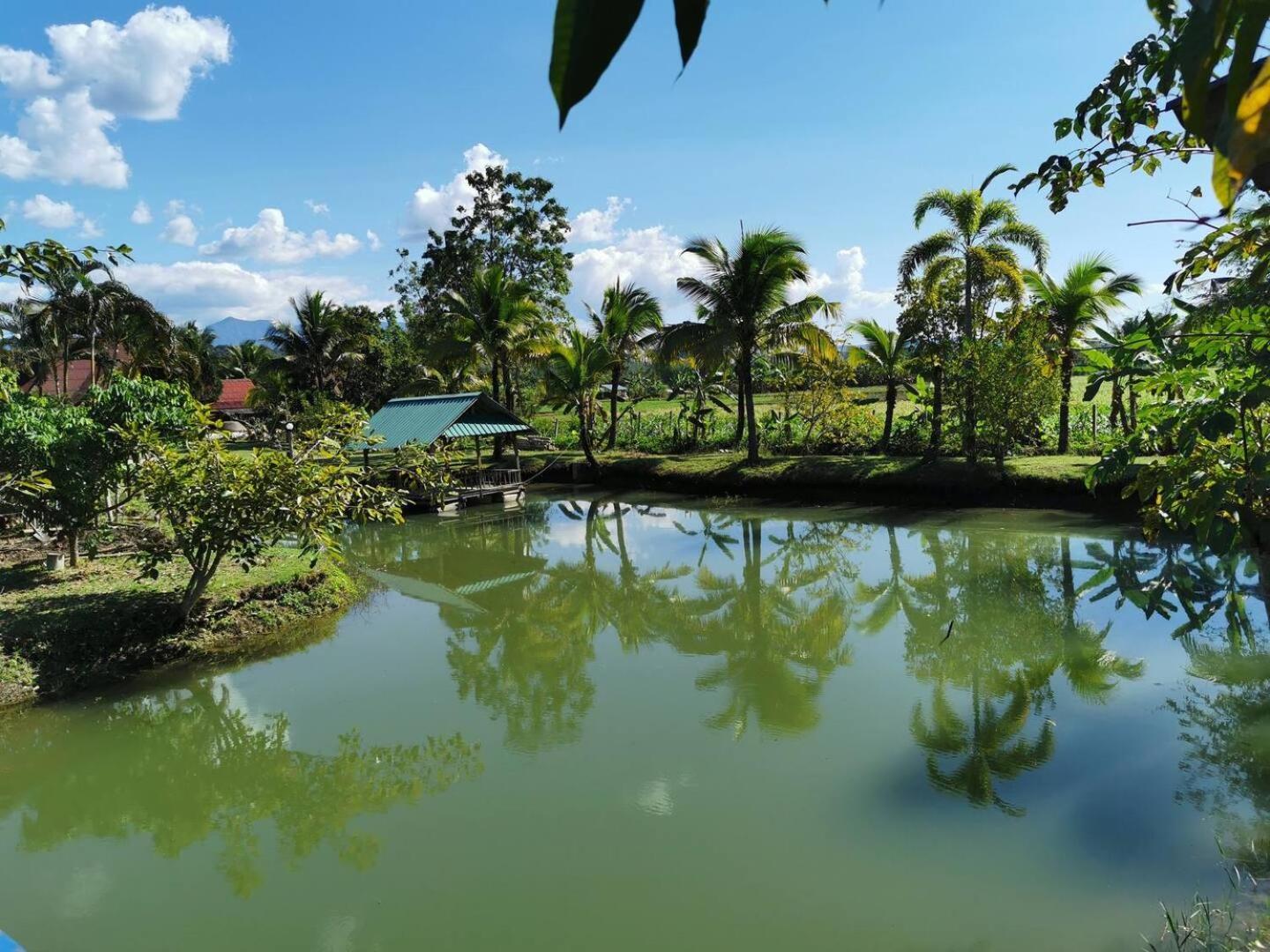 Wichouda Cottage Chiang Dao Εξωτερικό φωτογραφία